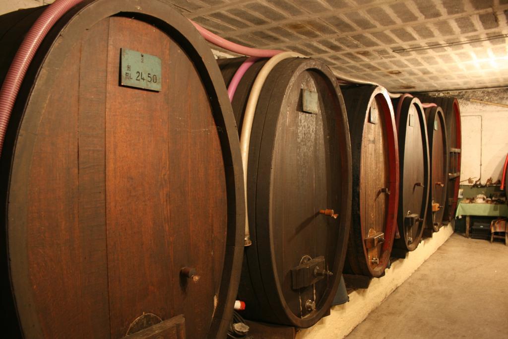 Hostel - Le Mittel Миттельвир Экстерьер фото