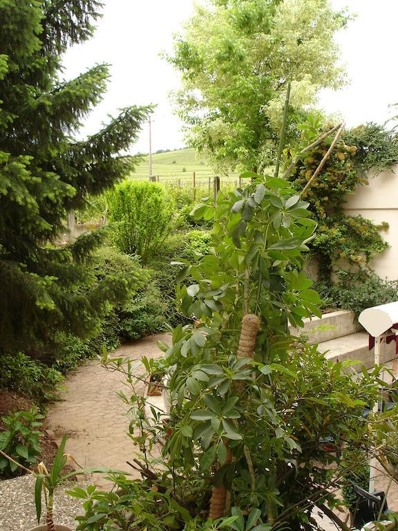 Hostel - Le Mittel Миттельвир Экстерьер фото